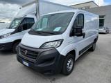 FIAT DUCATO 28 2.30 MJ  PC-TN  8.5 Q.LI