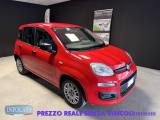FIAT Panda Hybrid 1.0 FireFly 70 cv Neopatentati - PROMO