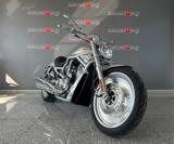 HARLEY-DAVIDSON 1130 V-ROD - VRSCA EDIZIONE LIMITATA RARA COLORAZIONE 