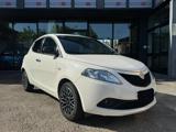 LANCIA Ypsilon 1.0 FireFly GOLD *HYBRID* OTTIME CONDIZIONI!