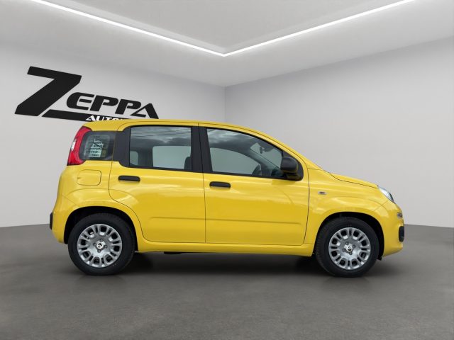 FIAT PANDINA 1.0 FIREFLY 65 CV HYBRID POP - foto 6