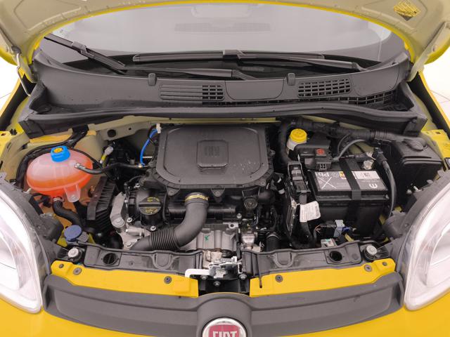 FIAT PANDA 1.0 FIREFLY HYBRID POP S&S 65CV - foto 27