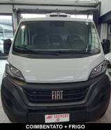 FIAT Ducato 30 2.2 Mjt 120CV PM-TM FRIGO