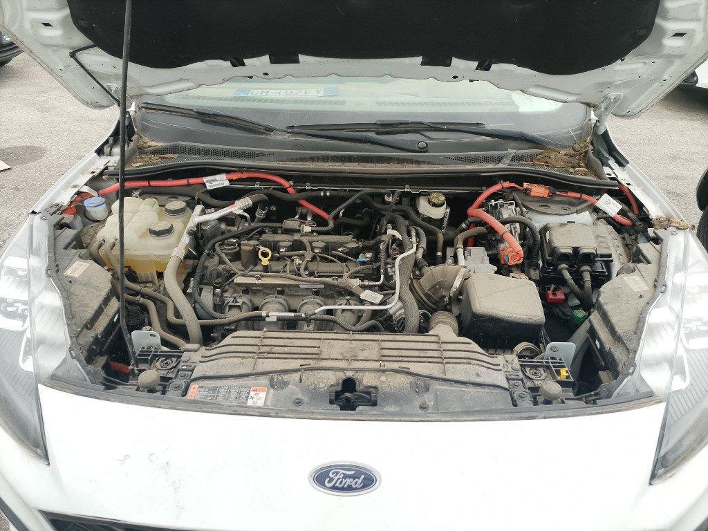 Immagine di FORD Kuga 2.5 Full Hybrid 190 CV CVT 2WD ST-Line del 01/2023 km 17940