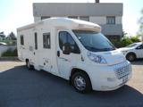FLEURETTE  Migrateur