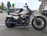 HARLEY-DAVIDSON 883C Sportster Custom XL SPOSTER 883