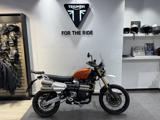 TRIUMPH Scrambler 1200 XE MY25