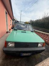 FIAT Panda 1ª serie 900 i.e. cat Young