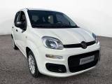FIAT Panda III 2016 1.2 69cv Easy