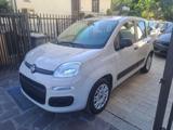 FIAT Panda 1.2 Benz 69CV - UNIPRO TAGLIANDATA