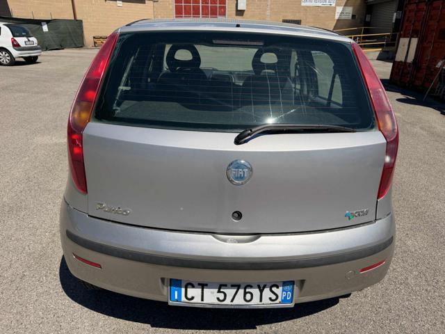 FIAT PUNTO 1.2 5P ACTIVE NATURAL POWER PERF - foto 25