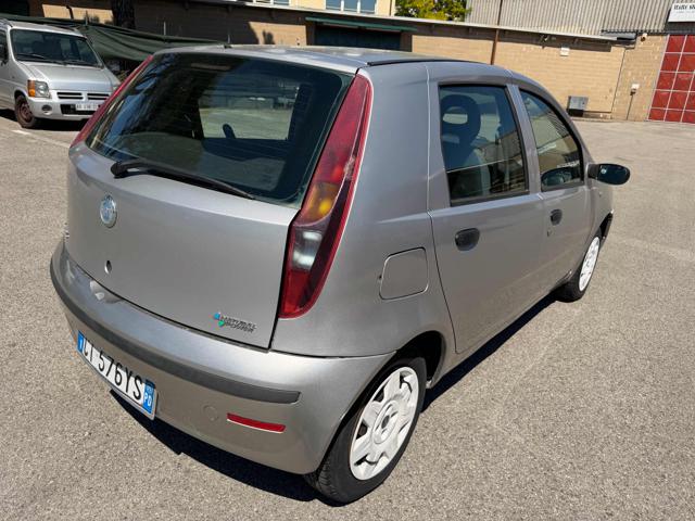 FIAT PUNTO 1.2 5P ACTIVE NATURAL POWER PERF - foto 26