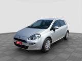 FIAT Punto Punto 1.2 8V 5 porte Street
