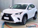 LEXUS NX 300 NX300H HYBRID BUSINESS AUTOMATICA CVT