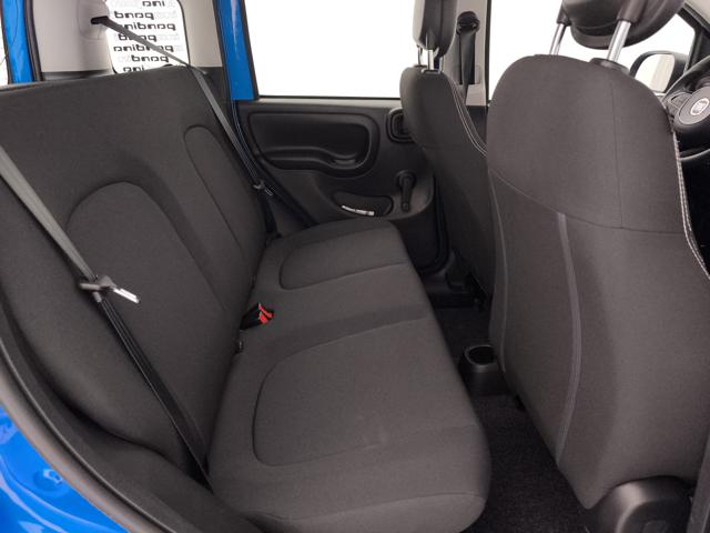 FIAT PANDA 1.0 FIREFLY HYBRID POP S&S 65CV - foto 23