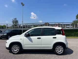 FIAT Panda usata, con Climatizzatore