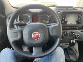 FIAT Panda usata, con Airbag testa