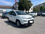 FIAT Panda 1.0 FireFly S&S Hybrid 70CV UNICO PROPRIETARIO