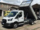 FORD Transit 350 2.0 EcoB.130CV RWD PL-RG Cas.Rib.Tril.Trend