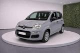 FIAT Panda III 1.2 8v 69Cv Easy