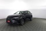 LEXUS Other NX NX Hybrid 4WD Business