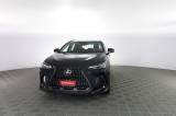 LEXUS Other NX NX Hybrid 4WD Business