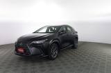 LEXUS Other NX NX Hybrid 4WD Business