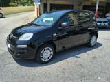 FIAT Panda 1.0 ICON Hybrid - SCONTO EXTRA -3600 GIUGNO