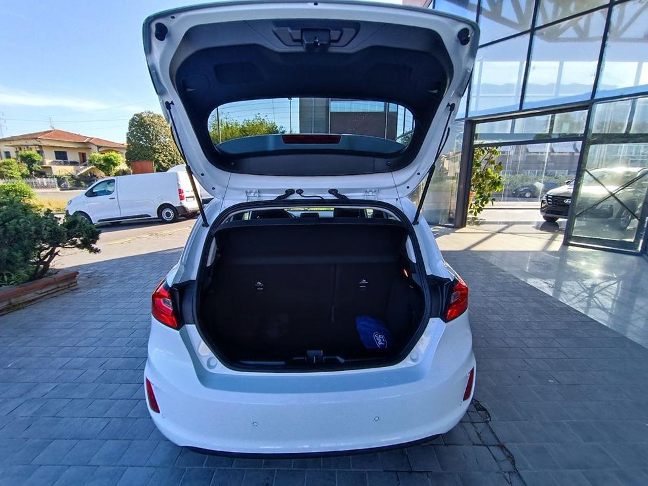 FORD Fiesta 1.1 75 CV GPL 5 porte Titanium - 21