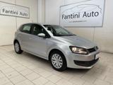 VOLKSWAGEN Polo Comfortline 5 porte 1.2 TDI-Ok Neopat-LEGGI SOTTO
