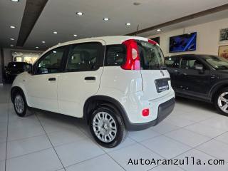 FIAT Panda usata, con Climatizzatore