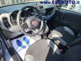 FIAT Panda usata, con Climatizzatore