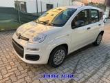 FIAT Panda 1.0 HYBRID ICON   KM 0