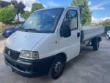 FIAT Ducato 15 2.0 JTD CASSONE CLIMA BEN TENUTO