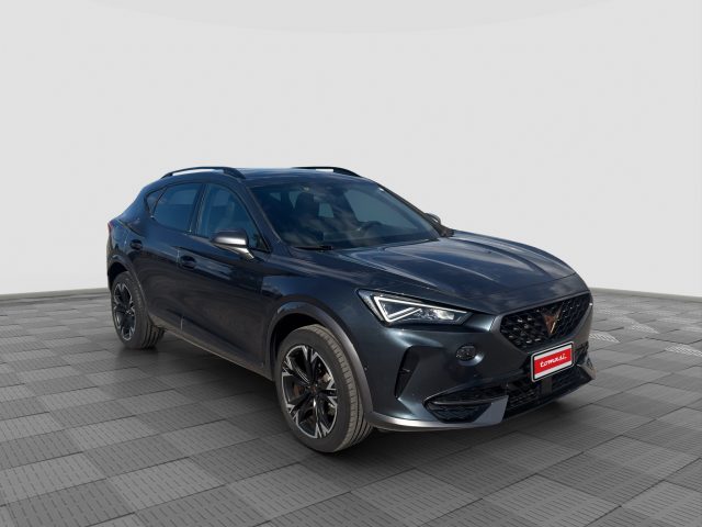 CUPRA FORMENTOR FORMENTOR 2.0 TDI 4DRIVE DSG - foto 7