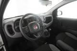 FIAT Panda Panda 0.9 TwinAir Turbo S&S 4x4 Wild