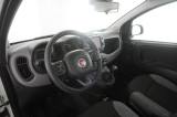 FIAT Panda Panda 0.9 TwinAir Turbo S&S 4x4 Wild