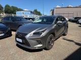 LEXUS NX 300 Hybrid 4WD Premium