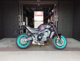 YAMAHA MT-09 2024