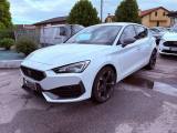 CUPRA Leon 2.0 TDI 150 CV DSG