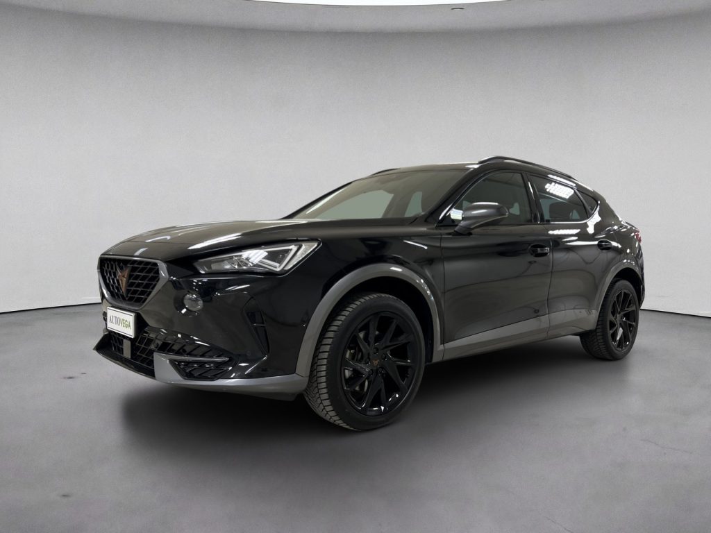 Immagine veicolo CUPRA Formentor 2.0 tdi 4drive 150cv dsg Diesel