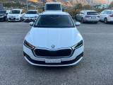 SKODA Octavia SCOUT 4X4