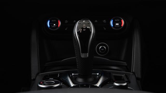 ALFA ROMEO STELVIO 2.2 TURBODIESEL 210 CV AT8 Q4 VE - foto 27