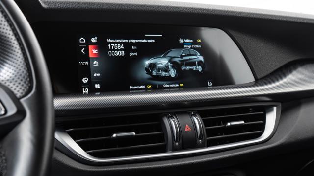 ALFA ROMEO STELVIO 2.2 TURBODIESEL 210 CV AT8 Q4 VE - foto 32