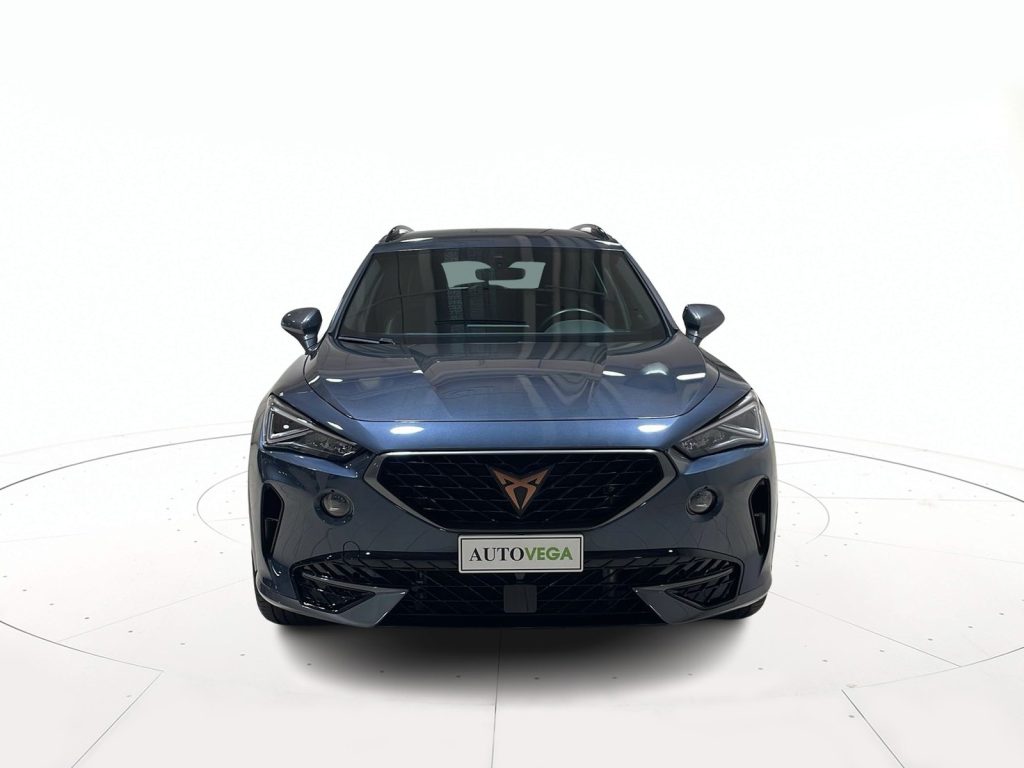 immagine usato CUPRA Formentor 1.5 tsi 150cv dsg