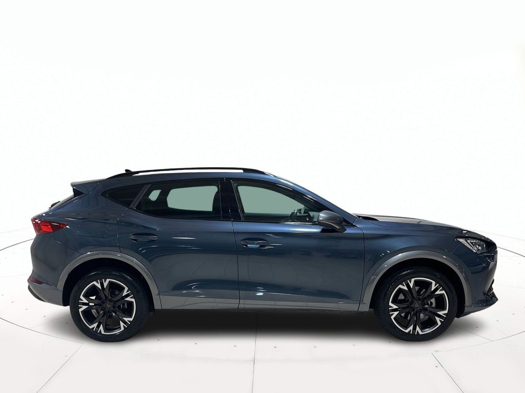 immagine usato CUPRA Formentor 1.5 tsi 150cv dsg