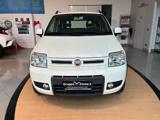 FIAT Panda 1.2 4x4 Climbing