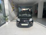 FIAT Panda 1.0 FireFly S&S Hybrid City Life da ?129,00 mensil