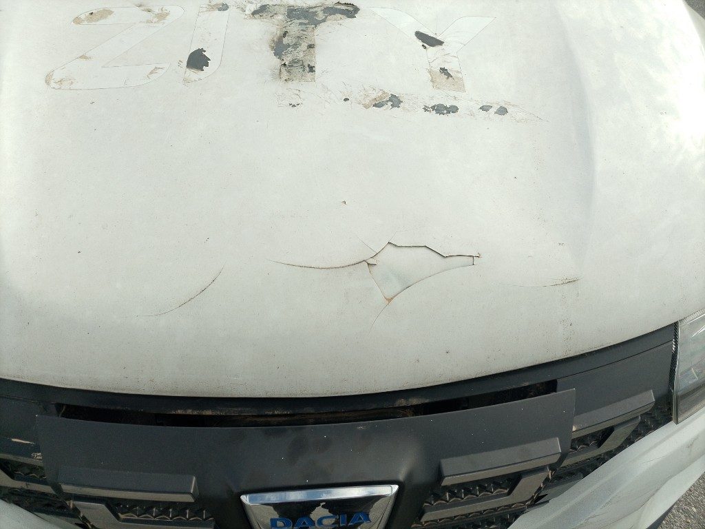 Immagine di DACIA Spring Electric 45 del 06/2021 km 27193
