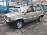 FIAT Panda 1ª serie 1100 i.e. cat College